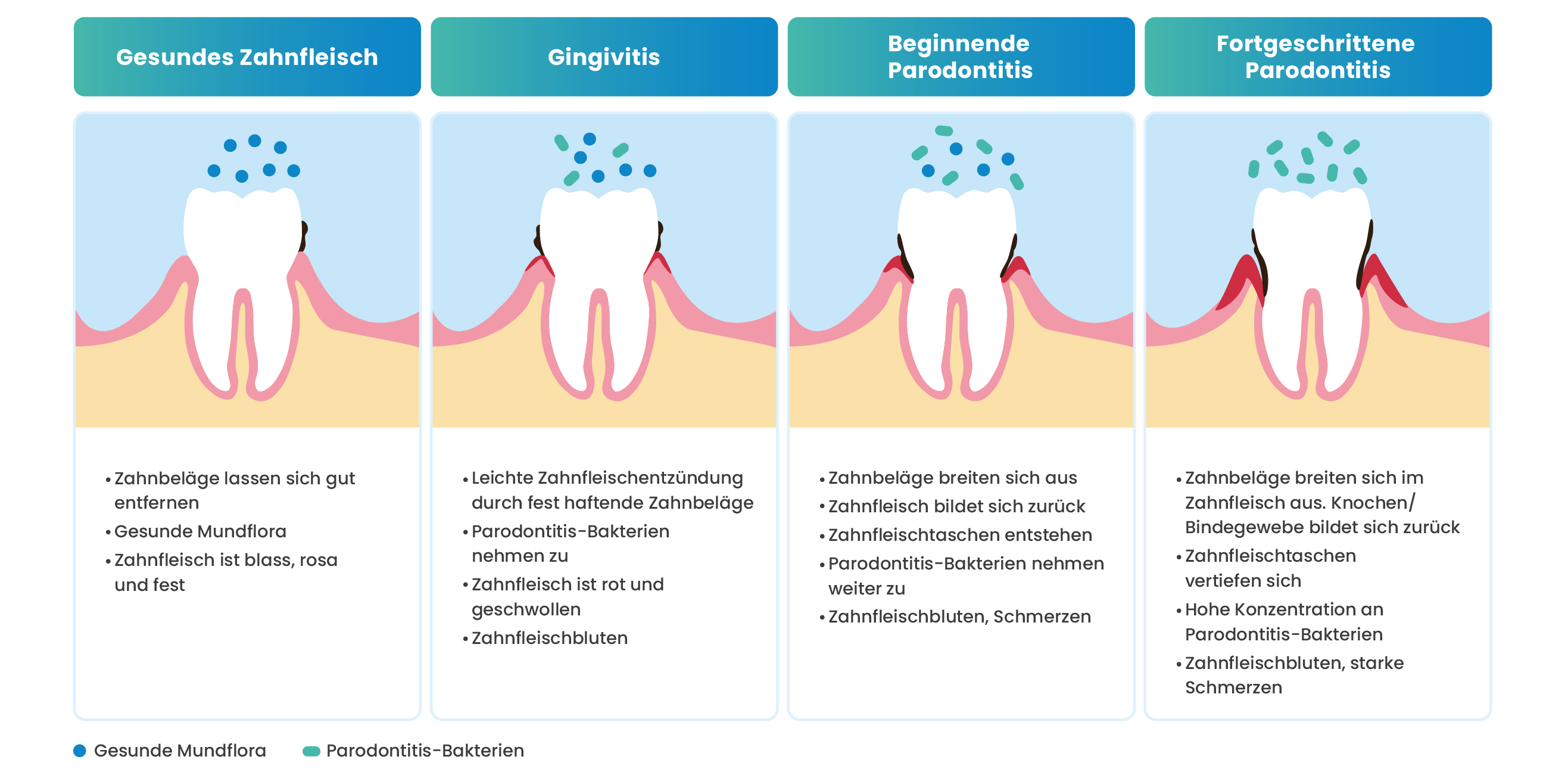 BIOG_MPP_Wissen_Grafik_Mundhygiene_220712_v2.jpg